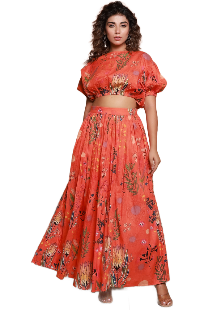 Cutout Image