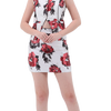 Cutout Image