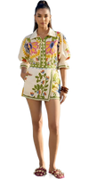 Multi-Color