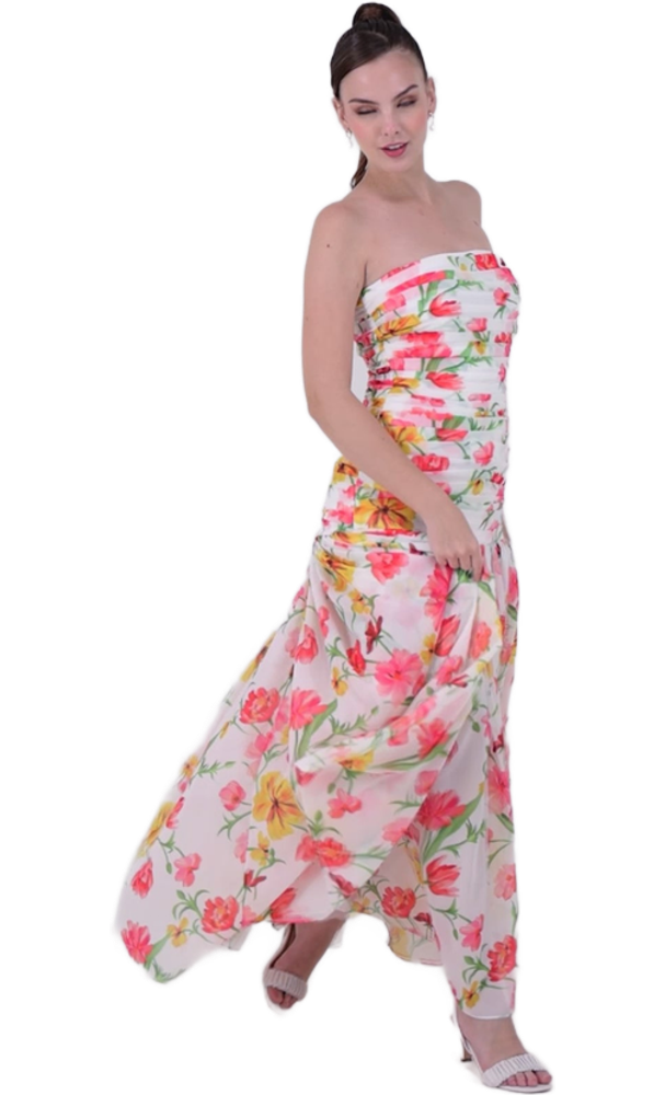 Cutout Image