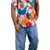 Cutout Image