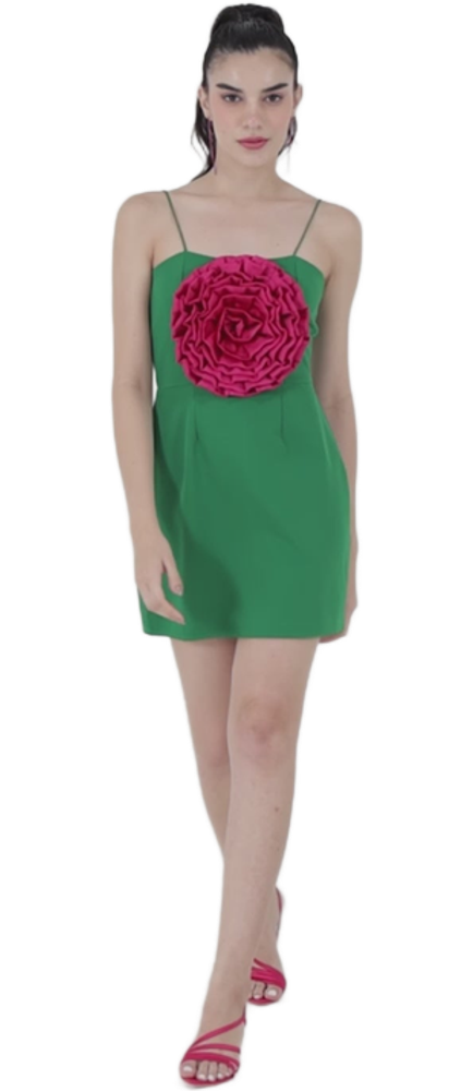 Cutout Image