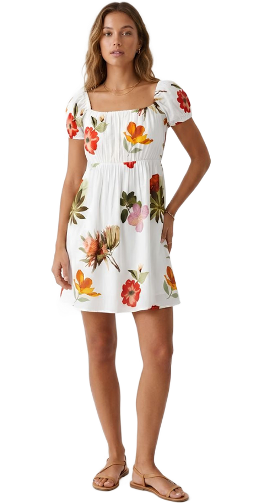Cutout Image