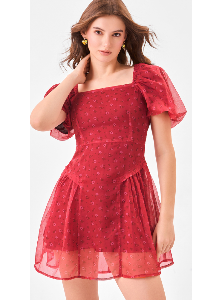 Product Only Image