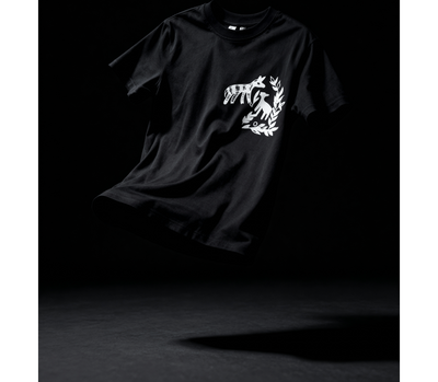 Product Only Image