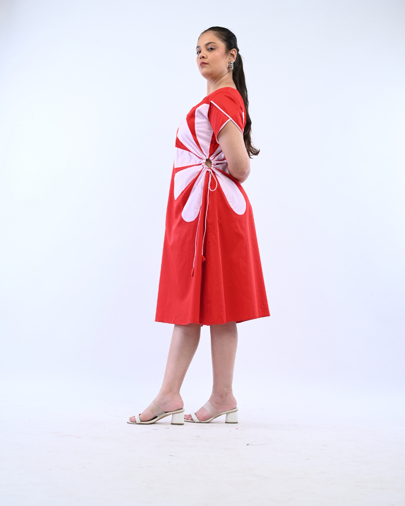 Product Only Image
