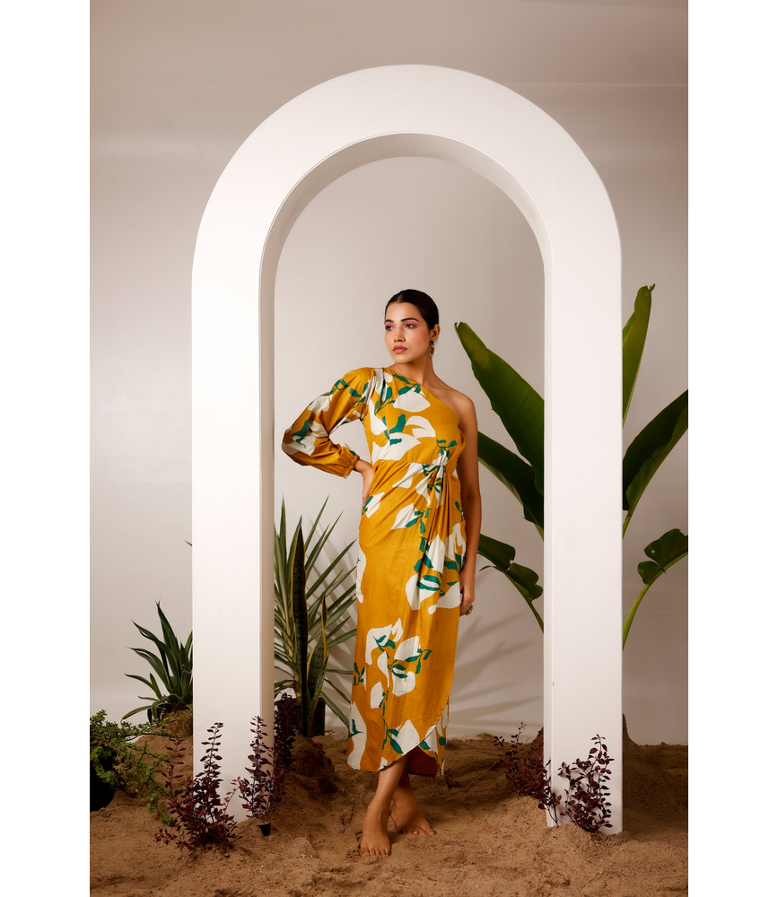 Product Only Image