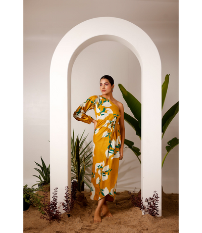 Product Only Image