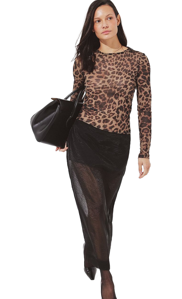 Cutout Image