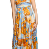 Cutout Image